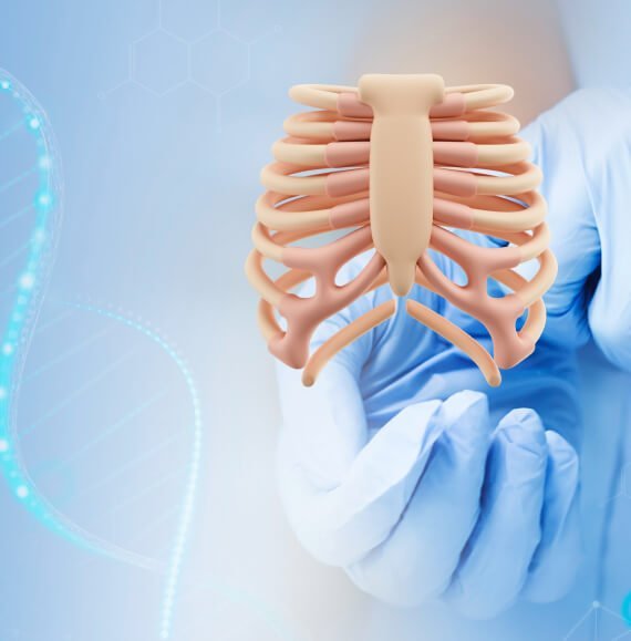 lowzat fitness expertise